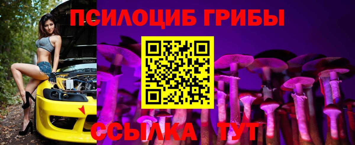 Якутск  Псилоцибиновые грибы мухоморы  Псилоцибиновые грибы Psilocybine cubensis  Вход с VPN 