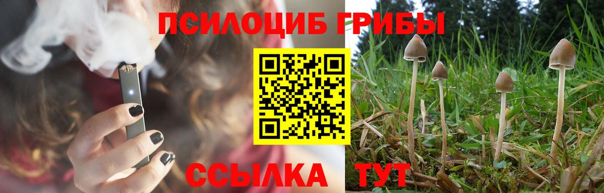 Галлюциногенные грибы прущие грибы Якутск